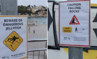 The controversial posters on the beaches of Mallorca to "scare" tourists: "Danger from jellyfish"