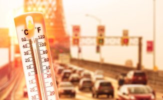 Heat affects the operation of your car: this is how you can avoid major problems