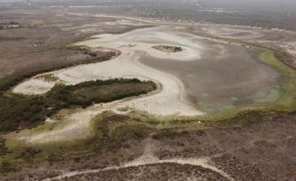 For the second consecutive year, Santa Olalla, the largest lagoon in Doñana, dries up