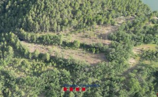 They find the largest macro-plantation of marijuana so far in the Lleida Pyrenees