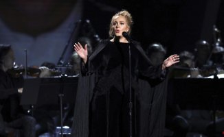 Adele interrupts her performance to defend a fan from a security guard