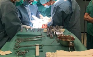Three organ donors in 10 days at the Arnau de Vilanova de Lleida facilitate 14 transplants