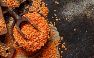 How to cook red lentils, one of the most digestible legumes