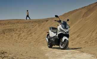 6 “crossover” scooter models that will serve you both for the city and for going off-road
