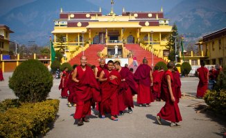 Meditate in Dharamshala, the home city of the Dalai Lama