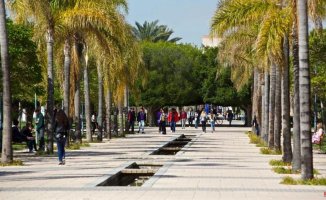 The University of Alicante is awarded as the institution most committed to women