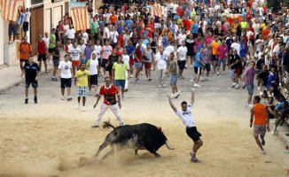 Pacma calls for a ban on 'bulls in the street' after the death of a man in Pobla de Farnals