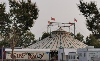 The circus adapts to the new times