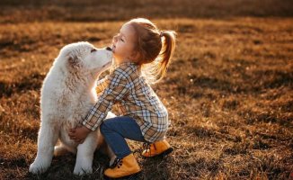 5 tips to improve coexistence between children and pets
