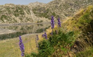 Travel to the origin of La Vall Fosca