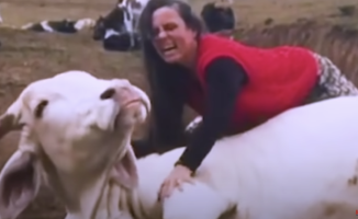 A woman calms the tears of a bull rescued from the slaughterhouse with a song