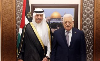 Saudi Arabia tries to calm Palestinians over Israel