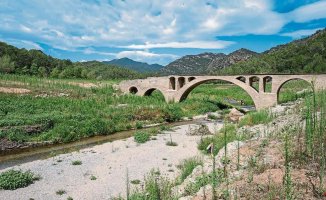A total of 36 Catalan municipalities are already on maximum drought alert