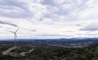 Albera Lliure de Molins appeals for the prior authorization of the Galatea wind farm
