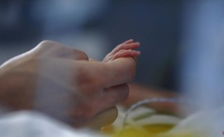 Premature babies: everything parents should keep in mind