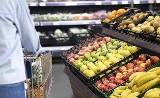 Alcampo and Mercadona lead the cheapest supermarkets, Sánchez Romero is the most expensive