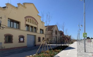 Vilafranca launches the largest nursery of wineries in Catalonia
