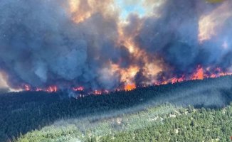 The worst fire season increases greenhouse gas emissions