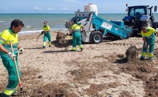Extra hours in cleaning services to get the beaches of the Costa Blanca ready