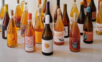 The hour of orange wines in Bocanariz