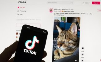 TikTok opens its first data center in Europe to allay fears about Chinese espionage