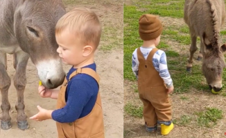 The great friendship of a boy and a donkey: "I can die happy"