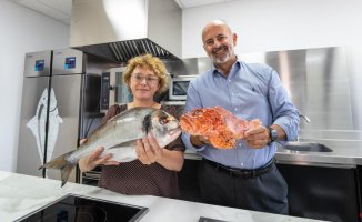 The Mercabarna wholesaler Garcimar enters GranBlau to grow in fresh fish