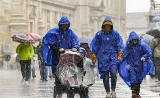 The AEMET warns that Spain faces polar fury with torrential rains and gales