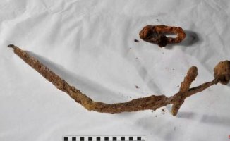 A sword in the courtyard of a house in Finland reveals dozens of tombs from the 12th century