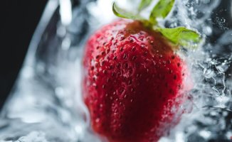 Magnetic freezers: what effect do they have on food quality?