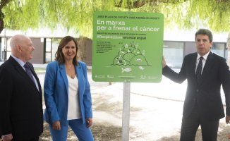 Valencia studies creating smoke-free spaces in parks after the Consell allows smoking on terraces