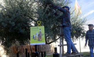 The Les Borges Blanques Oil Fair adds other Catalan varieties to the Arbequina olive