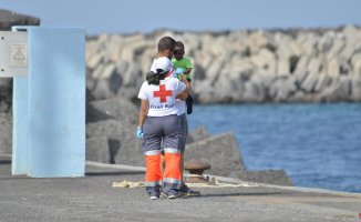 The communities accept the distribution of 360 migrant minors arriving in the Canary Islands