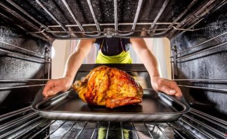 An expert warns of the risk of leaving a chicken breast out of the refrigerator for two hours: "You are alone because of so many bugs"