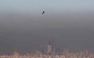 99% of humanity breathes air with pollution levels above what is advisable