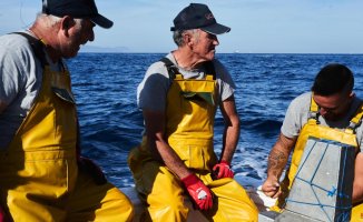A man, a hook, a tuna: the sustainable bet on the Cádiz coast has a reward
