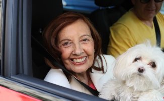 Lula, Terelu's dog, sad for the death of María Teresa Campos: "She has suffered"