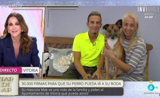 30,000 signatures for the dog of a couple from Vitoria to wear the rings at their wedding: "Let's all three match"