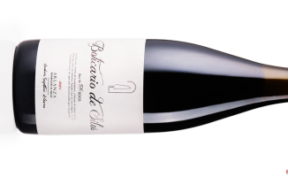 The wine of the week: Boticario de Silos 2021 from Bodega Septien
