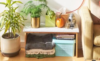 5 professional ideas to elevate the decoration of small spaces