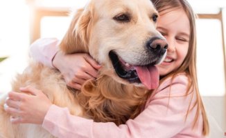 Do you talk to your dog?: a study reveals the incredible advantages of this practice