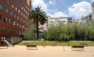 Renovation and improvement of several green spaces in the city with Pla Endreça
