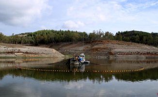 They begin to remove fish from the Riudecanyes reservoir to guarantee water quality