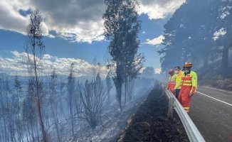 A young couple arrested for burning forests in Cantabria