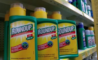France and Germany block the extension to market the controversial herbicide glyphosate