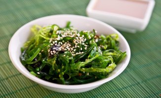 Is there any algae that is necessary in our diet?