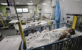 WHO alert for Israeli order to evacuate a hospital in Gaza