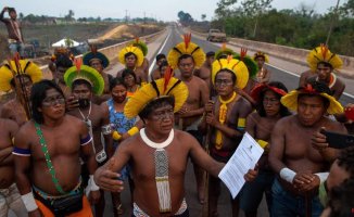 Brazil begins the expulsion of illegal settlers from two indigenous territories in the Amazon