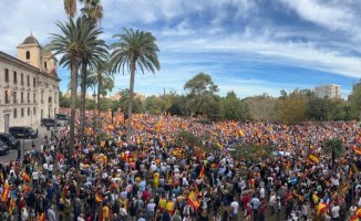 Thousands of Valencians peacefully protest against the amnesty in the squares of their capitals