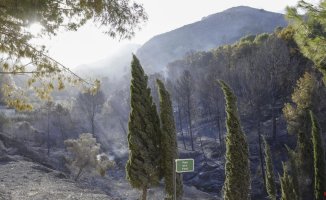 Classes are suspended in 13 municipalities of Valencia due to the fire and the strong wind